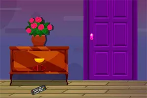 社区活动与规则研习